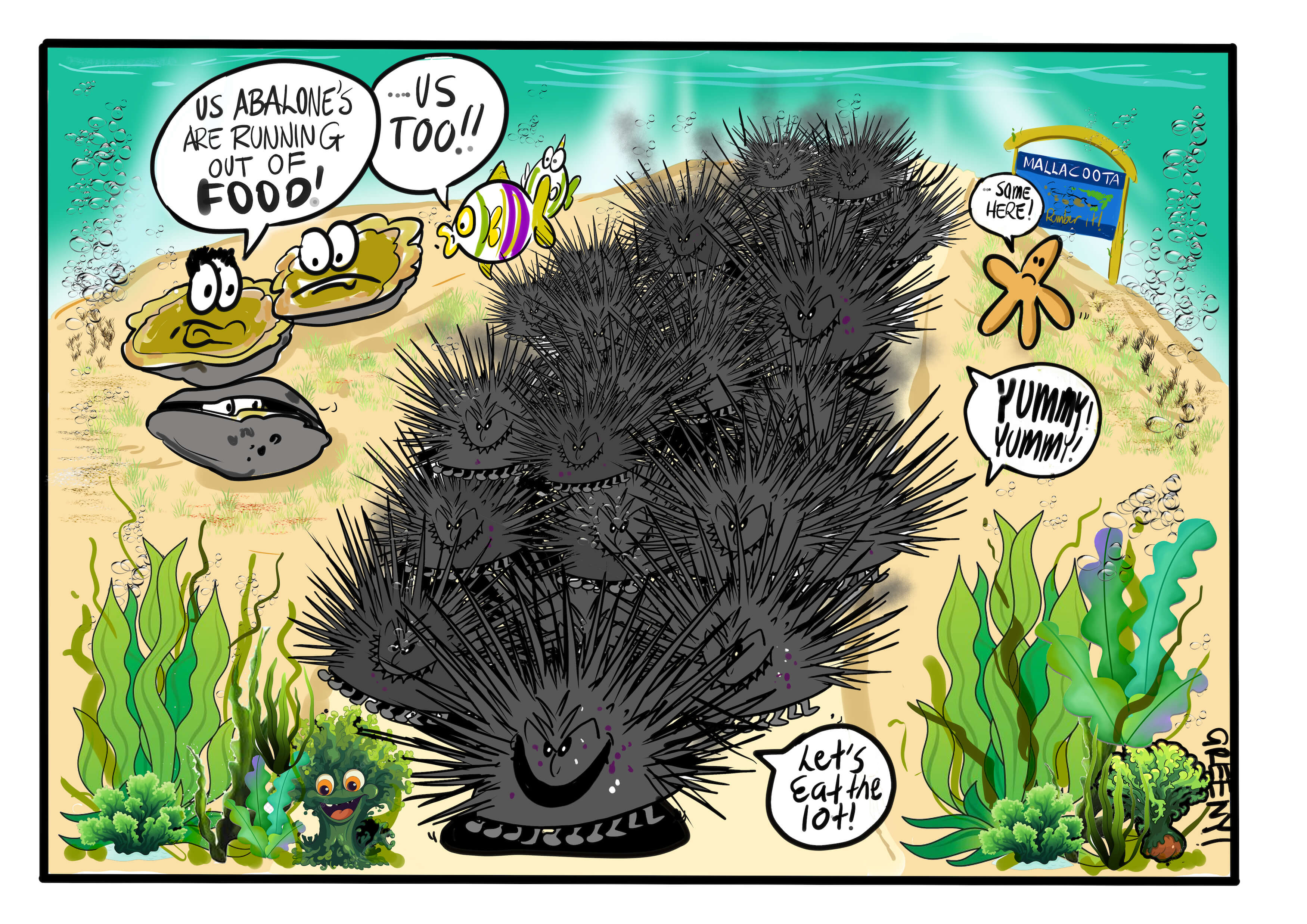 Sea Urchins Centro Management Plan
