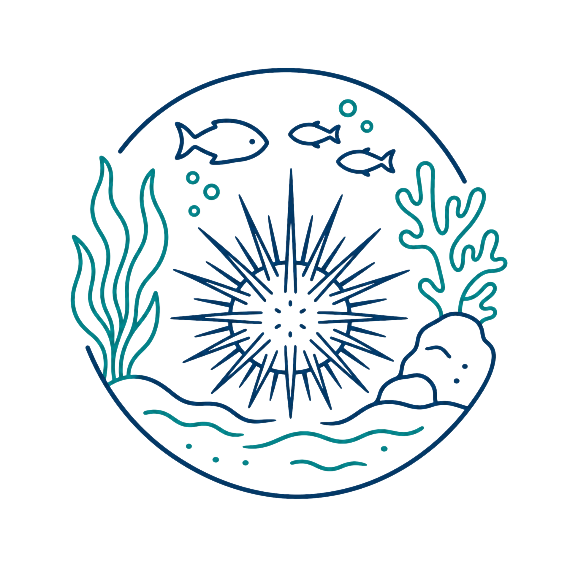 Sea Urchin Populations