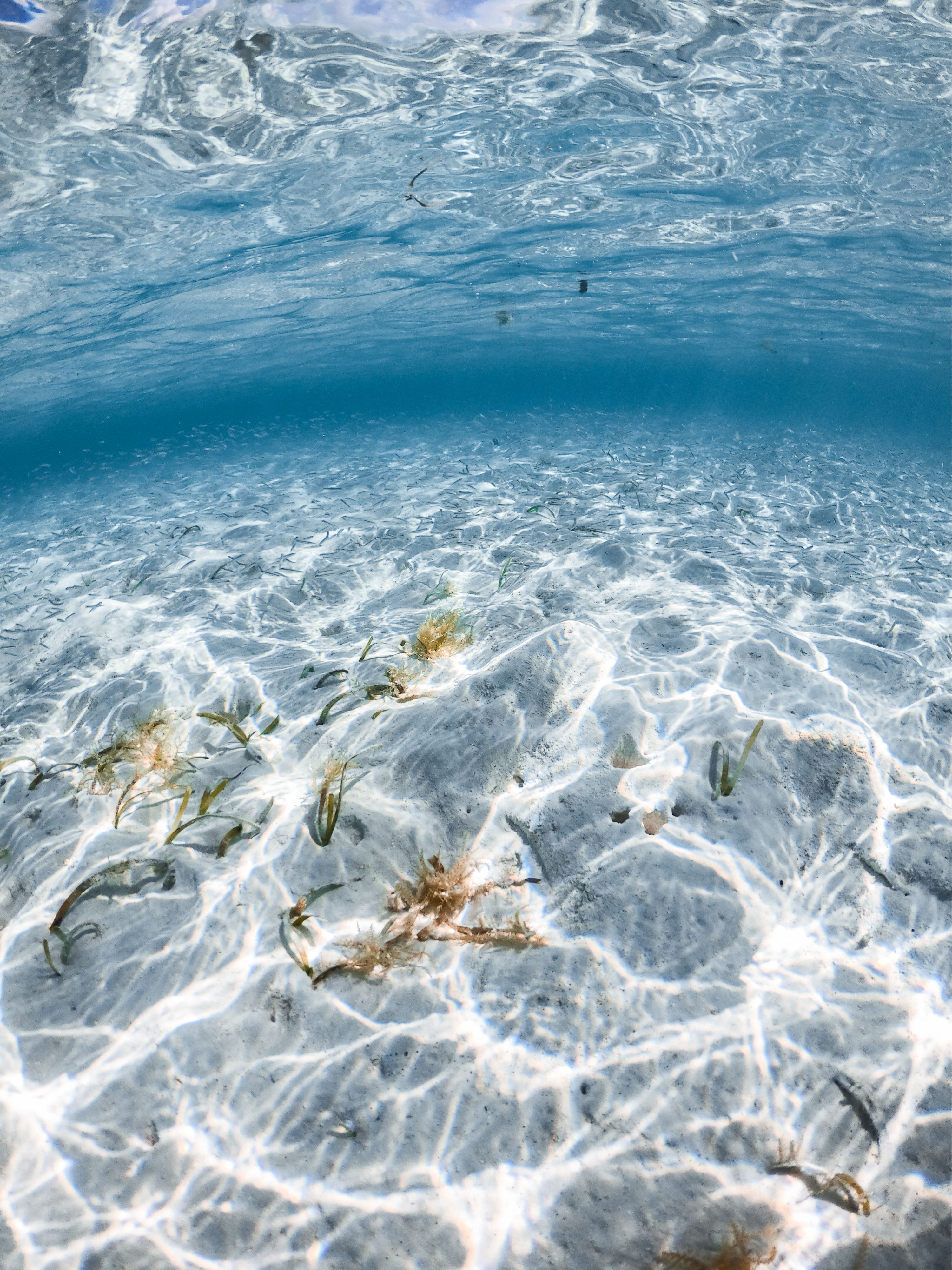 Ocean surface
