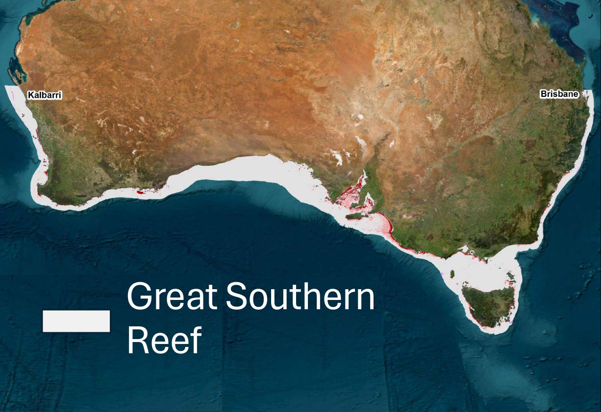Great Southern Reef delegation to Canberra 25-26 March 2024